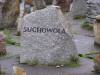 Grave memorized exterminated jewish congregation. Placed in Treblinka Death Camp